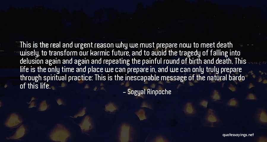 And We Meet Again Quotes By Sogyal Rinpoche