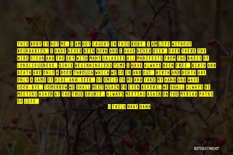 And We Meet Again Quotes By Thich Nhat Hanh And We Meet Again Quotes By Thich Nhat Hanh