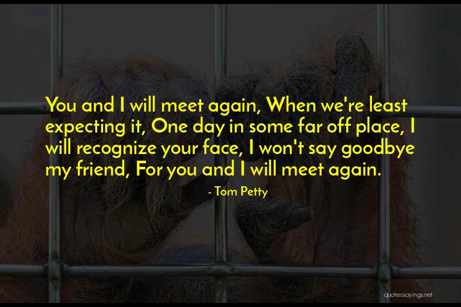 And We Meet Again Quotes By Tom Petty And We Meet Again Quotes By Tom Petty