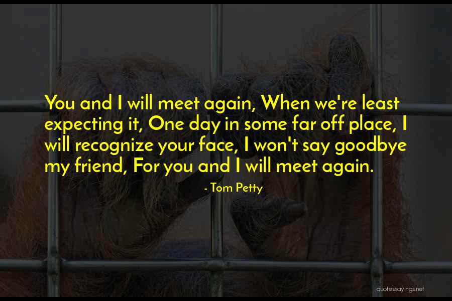 And We Meet Again Quotes By Tom Petty