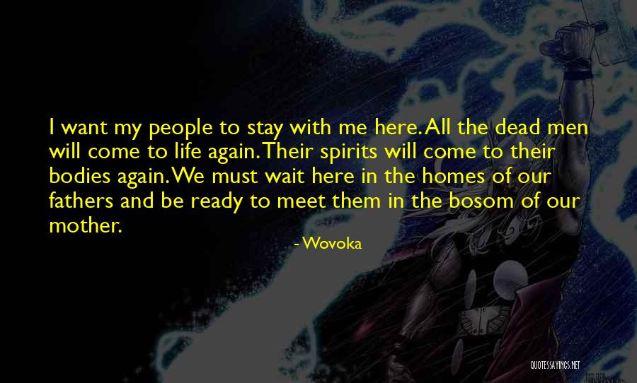 And We Meet Again Quotes By Wovoka