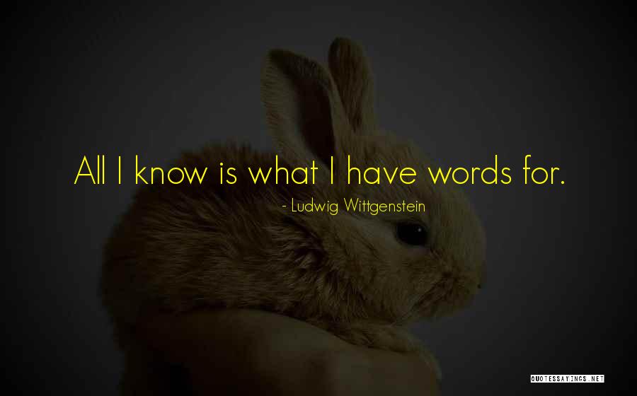 Andador Quotes By Ludwig Wittgenstein Andador Quotes By Ludwig Wittgenstein