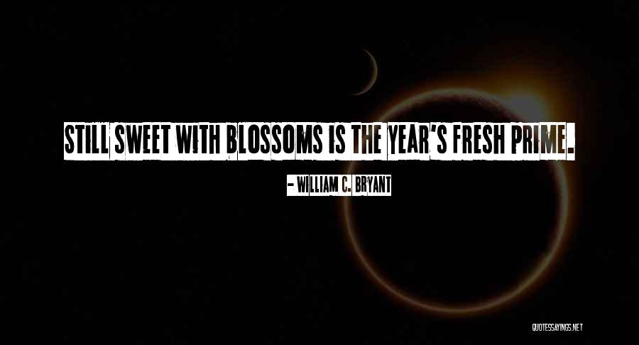 Andaloro Tie Quotes By William C. Bryant Andaloro Tie Quotes By William C. Bryant