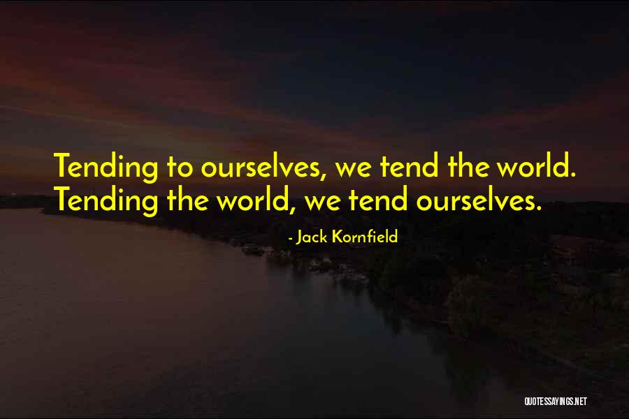 Andare Luggage Quotes By Jack Kornfield