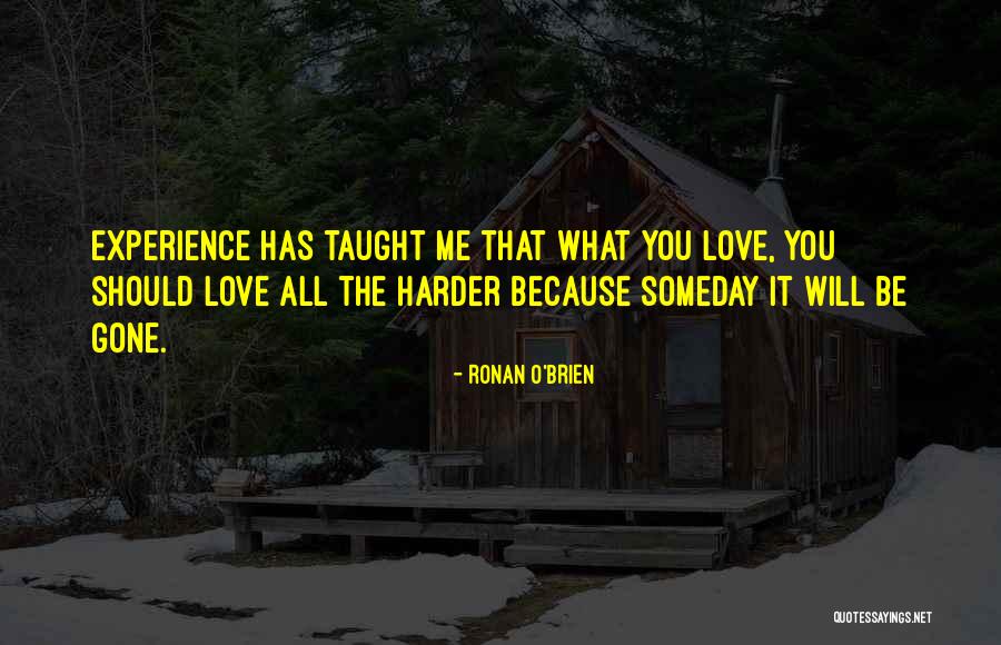 Andenmatten Quotes By Ronan O'Brien Andenmatten Quotes By Ronan O'Brien