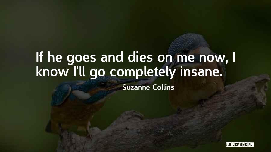 Andenmatten Quotes By Suzanne Collins Andenmatten Quotes By Suzanne Collins