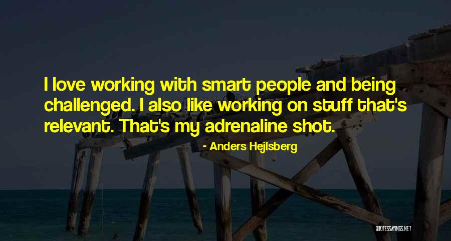 Anders Hejlsberg Quotes 1917280 Anders Hejlsberg Quotes 1917280