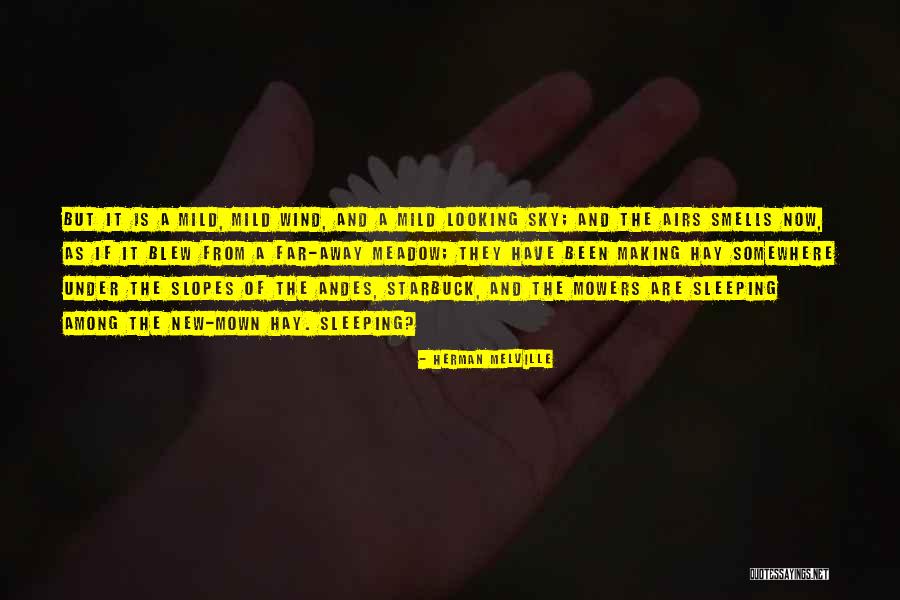 Andes Quotes By Herman Melville Andes Quotes By Herman Melville