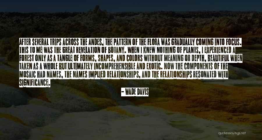 Andes Quotes By Wade Davis Andes Quotes By Wade Davis