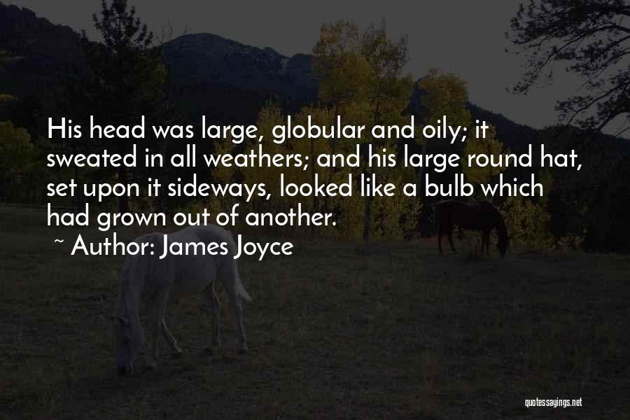 Andesta Trio Quotes By James Joyce
