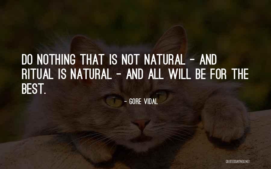 Andjelina Naneti Quotes By Gore Vidal Andjelina Naneti Quotes By Gore Vidal