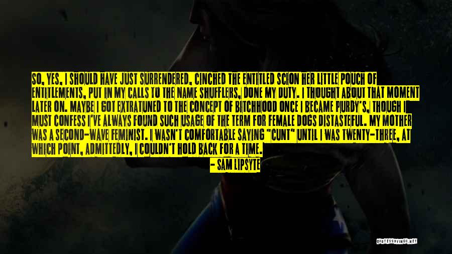 Andjelko Galic Arrested Quotes By Sam Lipsyte Andjelko Galic Arrested Quotes By Sam Lipsyte