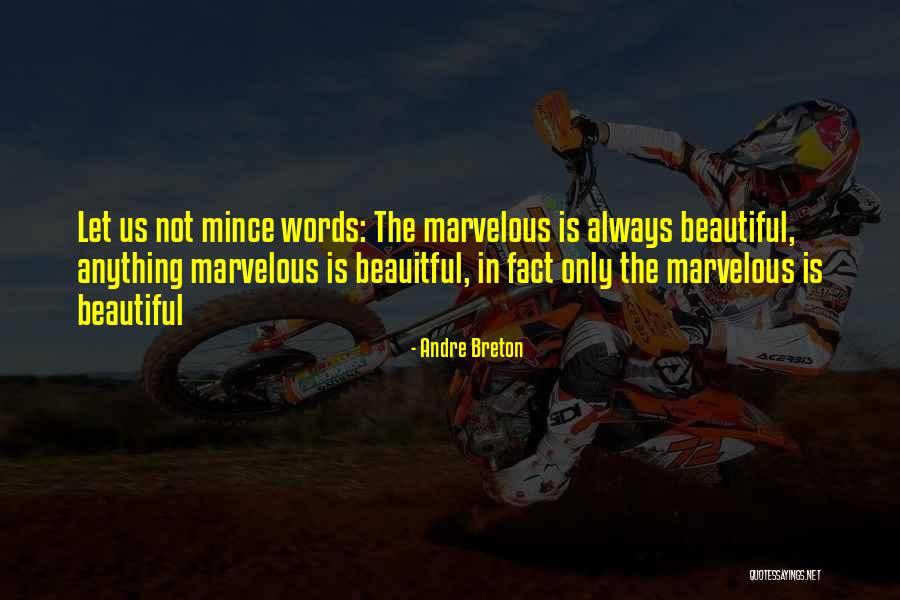 Andr Quotes By Andre Breton Andr Quotes By Andre Breton
