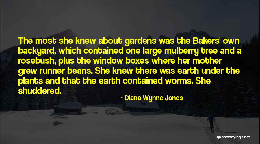 Andraschko Plumbing Quotes By Diana Wynne Jones Andraschko Plumbing Quotes By Diana Wynne Jones