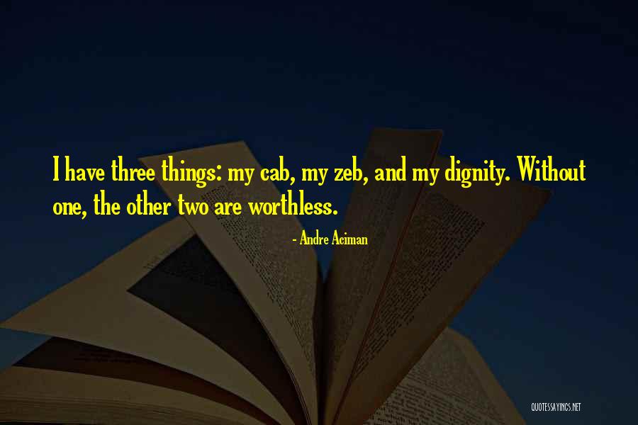 Andre Aciman Quotes 1059636