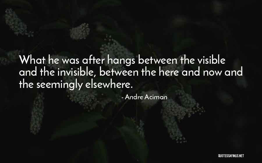 Andre Aciman Quotes 1449215