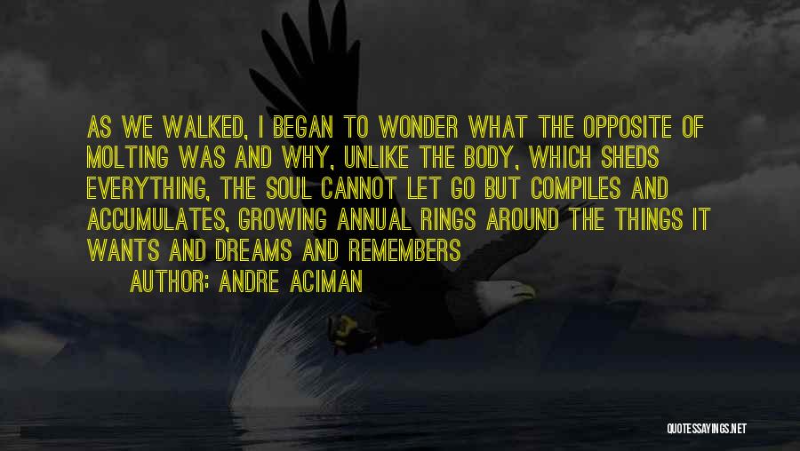 Andre Aciman Quotes 1523546