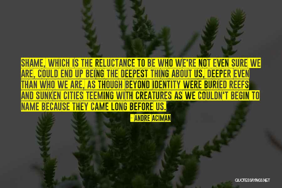 Andre Aciman Quotes 1584816