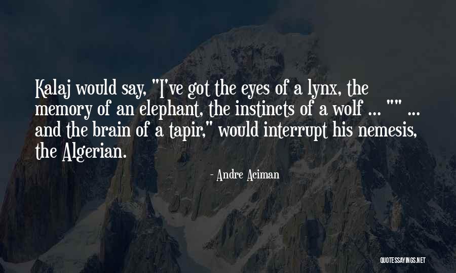 Andre Aciman Quotes 1811001