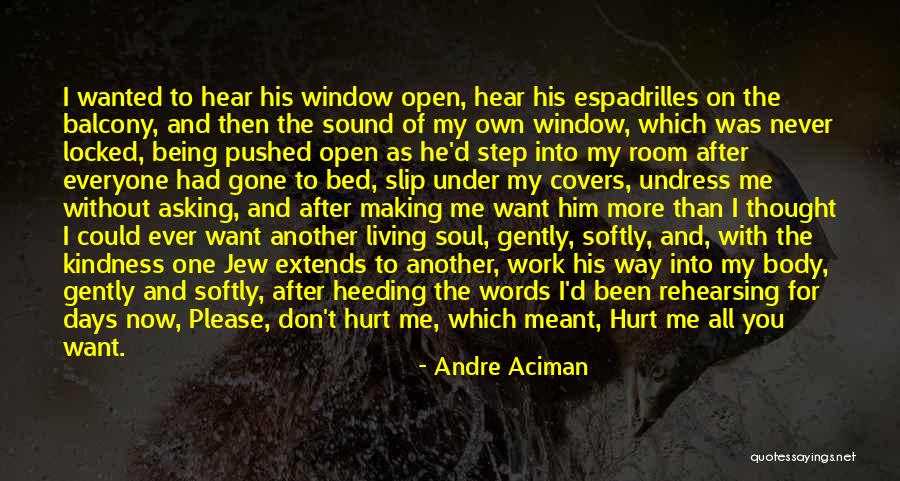 Andre Aciman Quotes 1903480