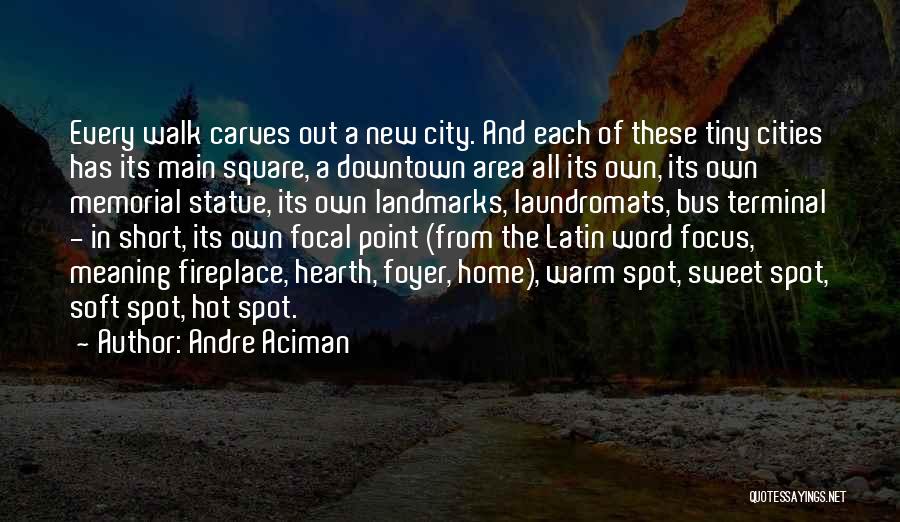Andre Aciman Quotes 1961417