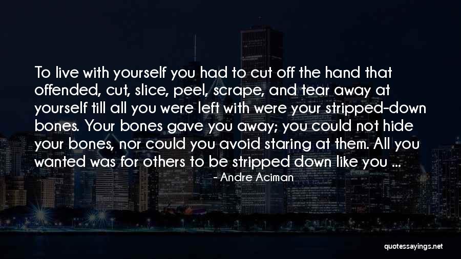 Andre Aciman Quotes 361273