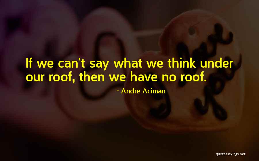 Andre Aciman Quotes 422858