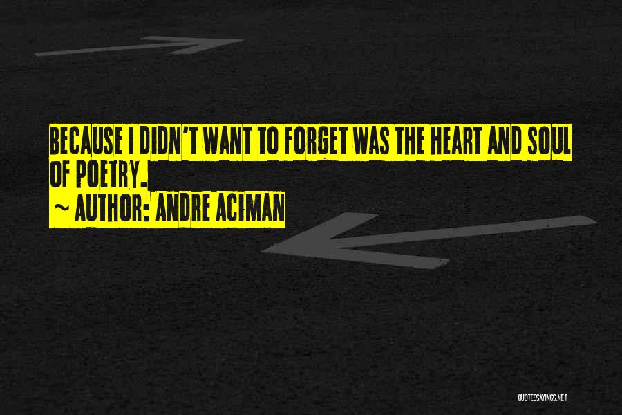 Andre Aciman Quotes 497490
