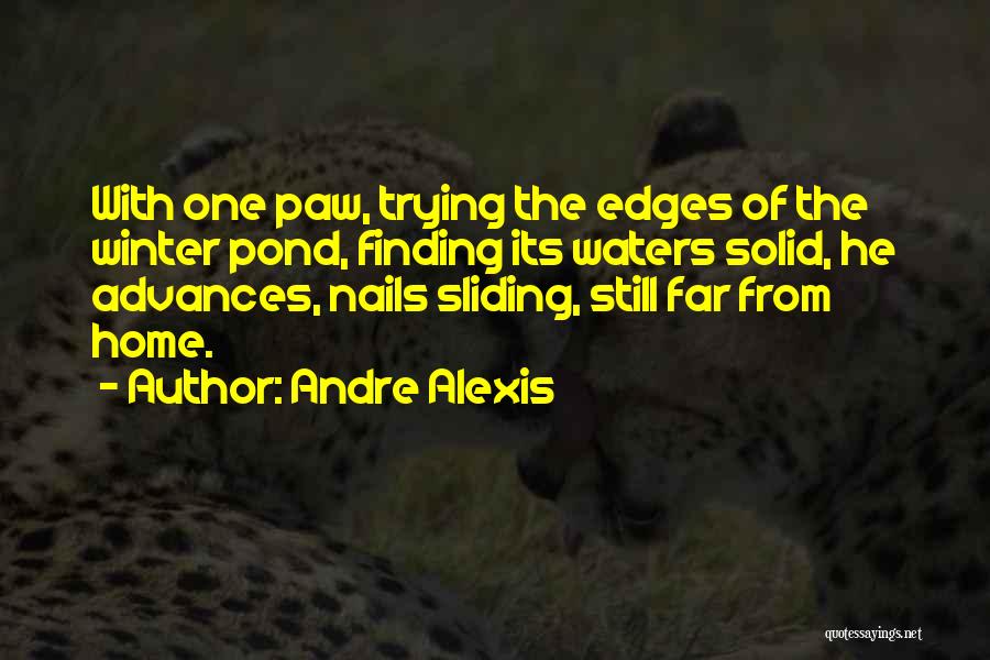 Andre Alexis Quotes 1682290