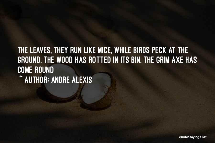 Andre Alexis Quotes 1748961