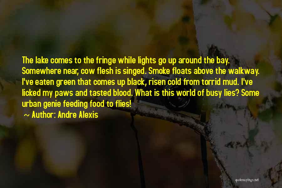 Andre Alexis Quotes 2208724