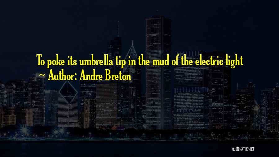 Andre Breton Quotes 1914261