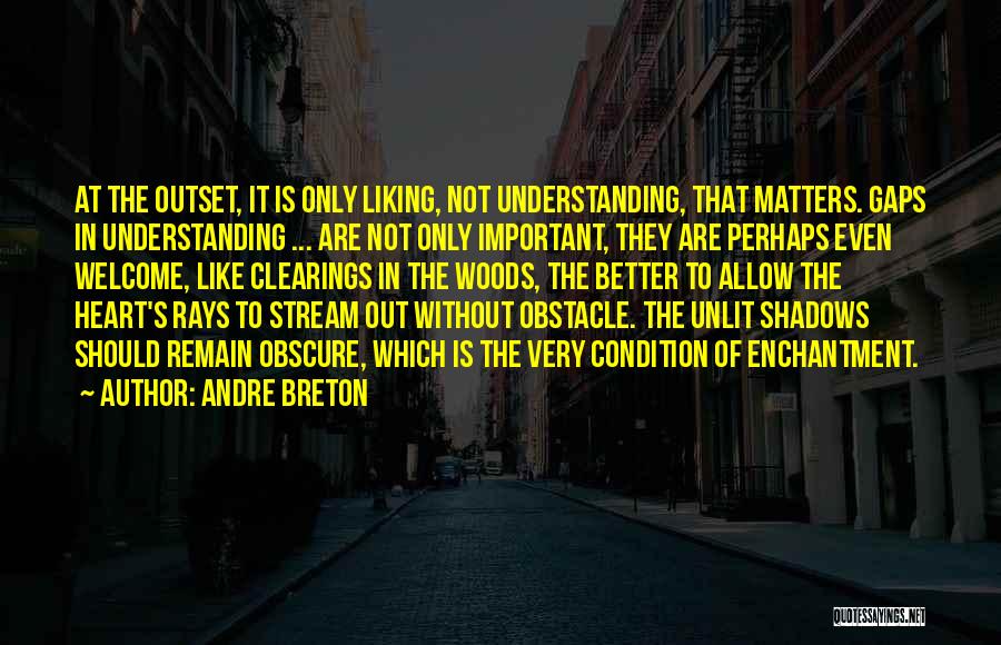 Andre Breton Quotes 818245