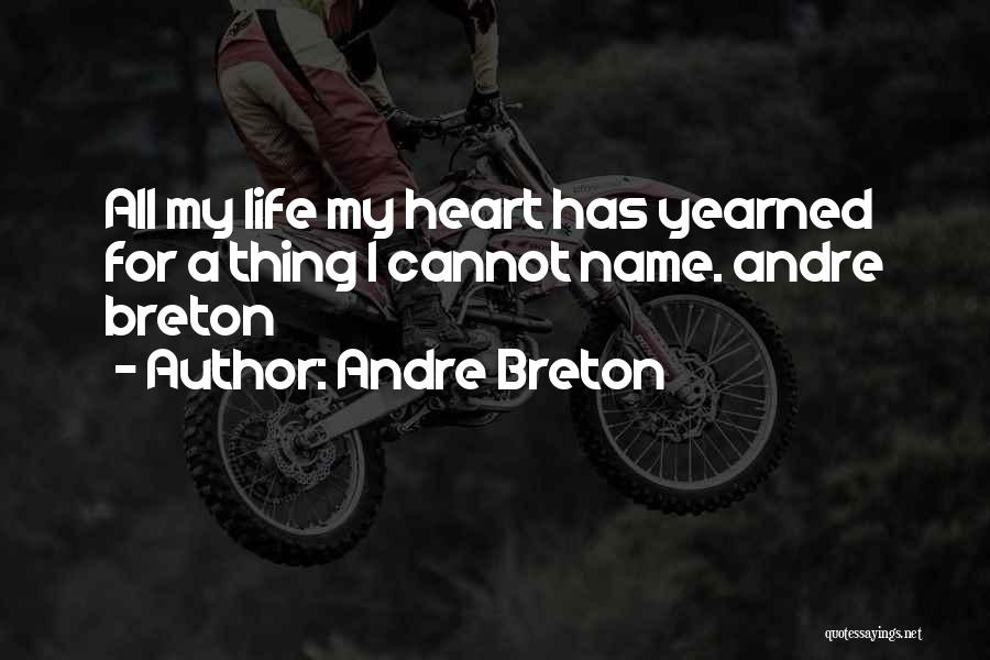 Andre Breton Quotes 94708