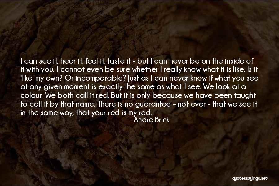 Andre Brink Quotes 104960