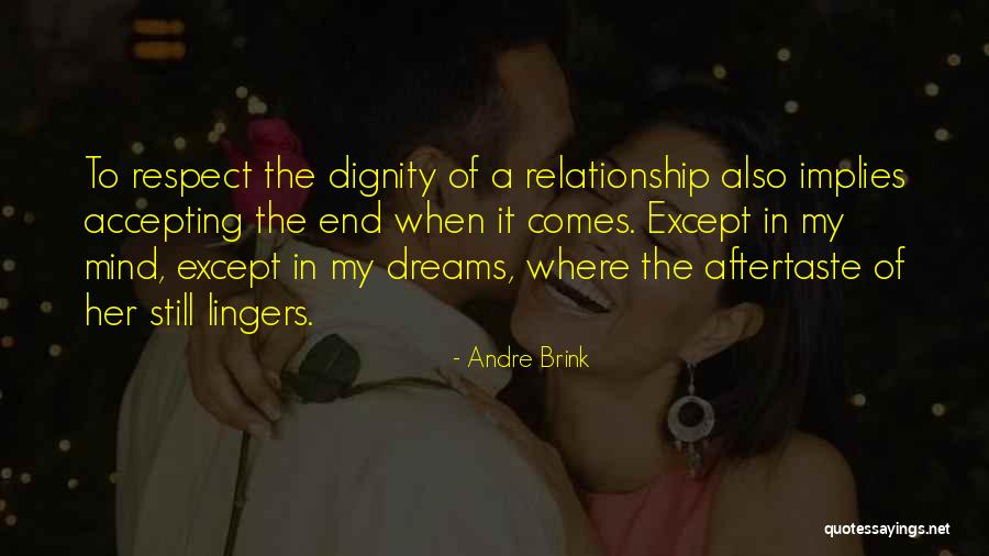 Andre Brink Quotes 1206291