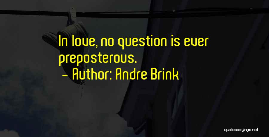 Andre Brink Quotes 1826495