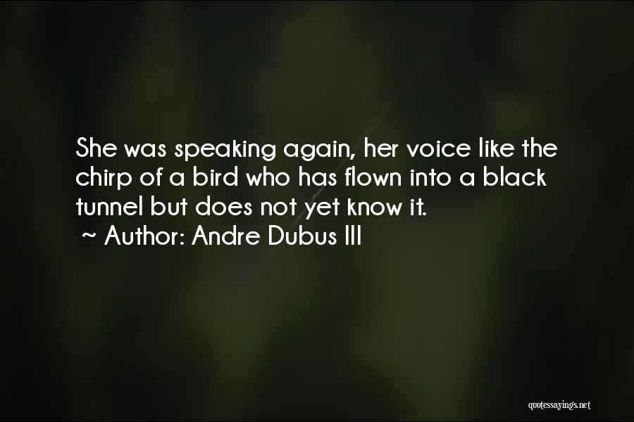 Andre Dubus III Quotes 273848