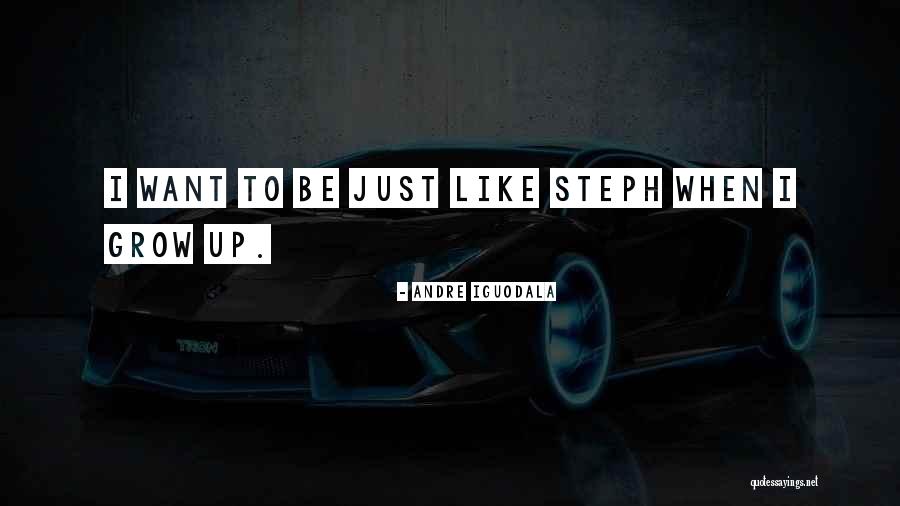 Andre Iguodala Quotes 315147 Andre Iguodala Quotes 315147