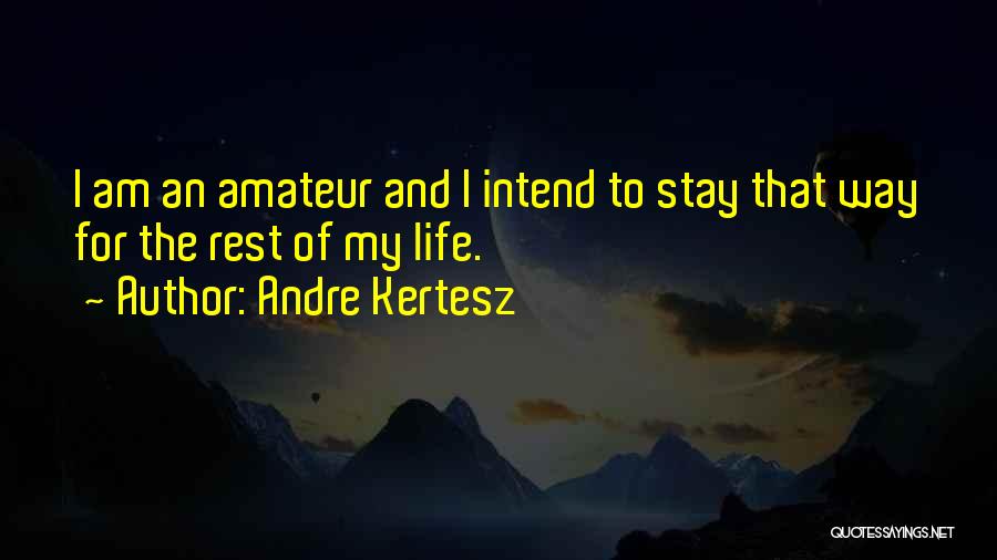 Andre Kertesz Quotes 1005879