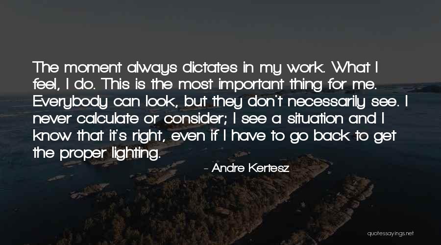 Andre Kertesz Quotes 1037460