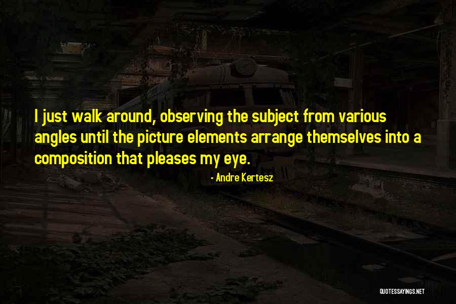 Andre Kertesz Quotes 117107