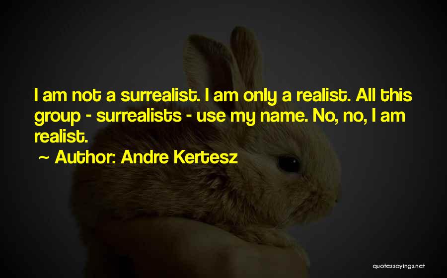 Andre Kertesz Quotes 1852215