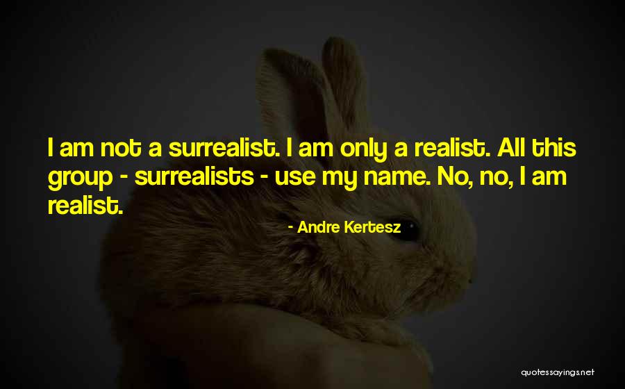 Andre Kertesz Quotes 1852215