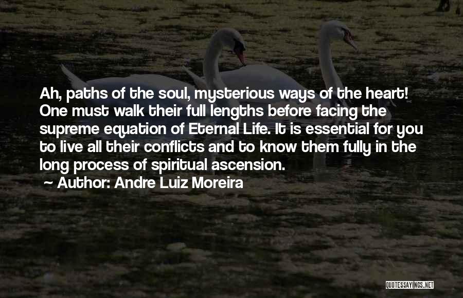 Andre Luiz Moreira Quotes 261533