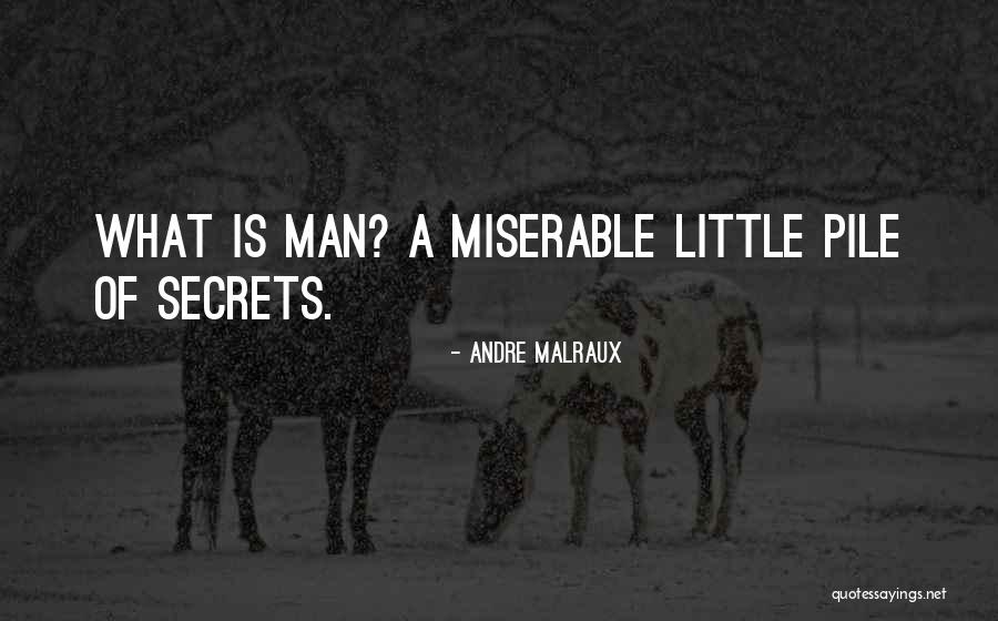 Andre Malraux Quotes 2137856 Andre Malraux Quotes 2137856