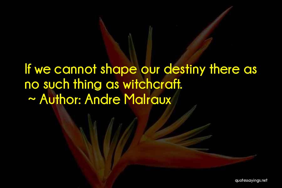 Andre Malraux Quotes 2156669