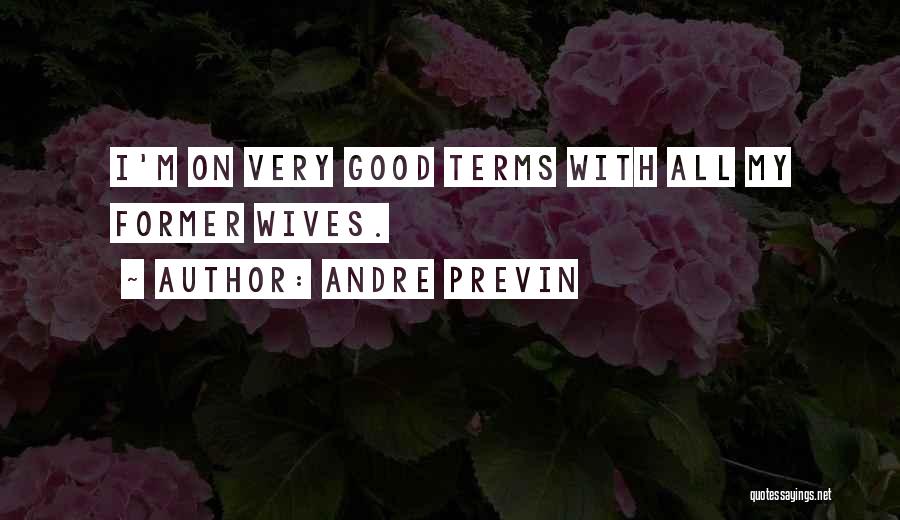 Andre Previn Quotes 385112