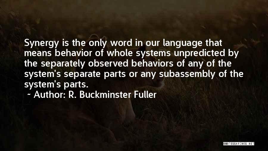 Andrea Bargnani Quotes By R. Buckminster Fuller