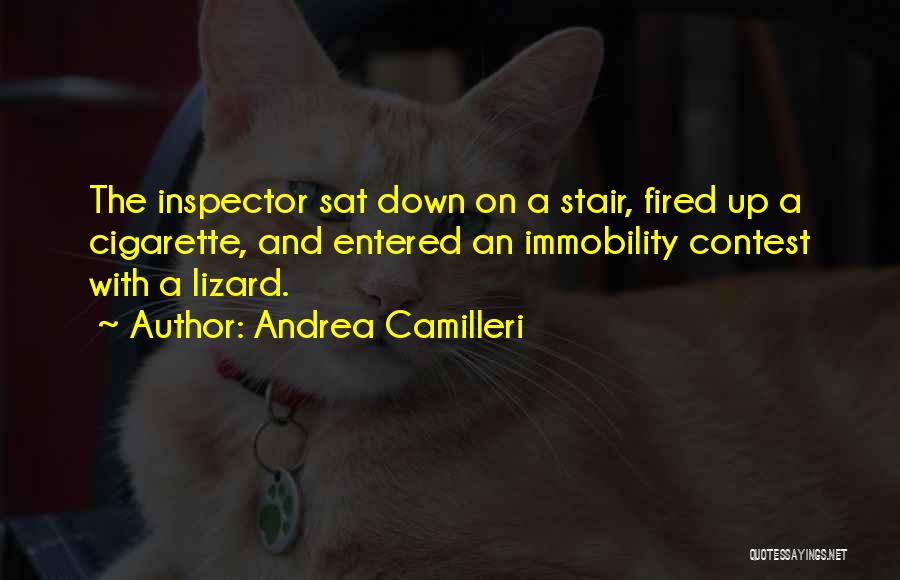 Andrea Camilleri Quotes 2072055